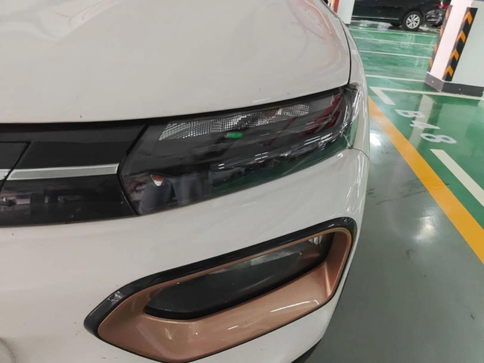 Dongfeng NAMMI EX1 2023 PRO Light Wind Edition Lightning Model — миниатюра 8