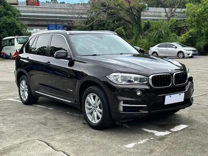 BMW X5 (Imported) 2014 xDrive35i Elegant Edition — миниатюра 3