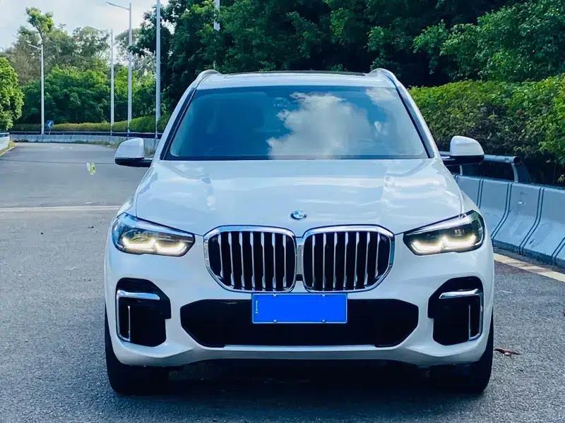 BMW X5 2022 xDrive 30Li M Sport Package — миниатюра 2