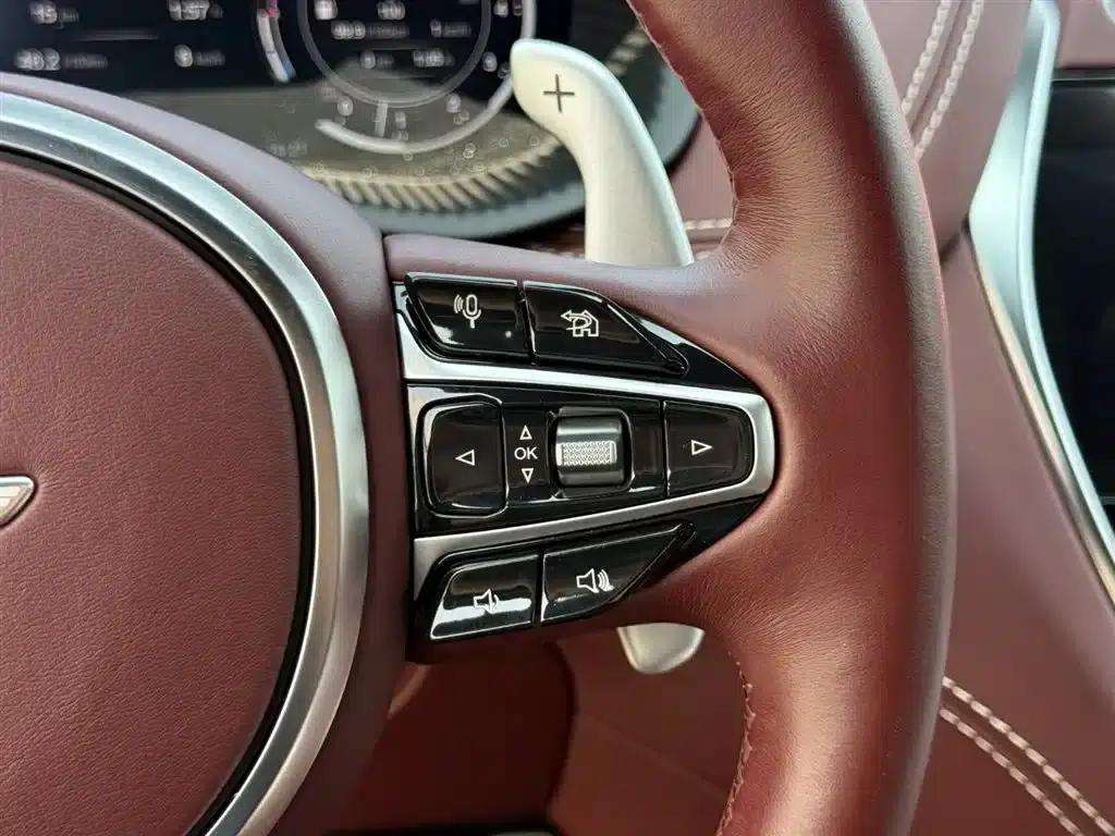 Aston Martin DBX 2020 4.0T V8 1913 First Edition Limited Edition — миниатюра 27