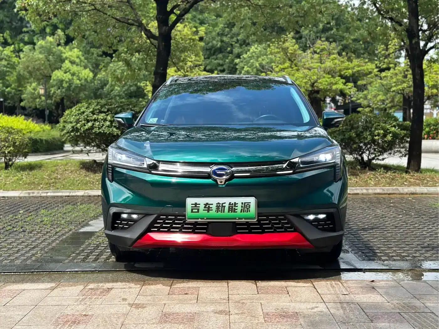 AION LX 2019 80D — миниатюра 2