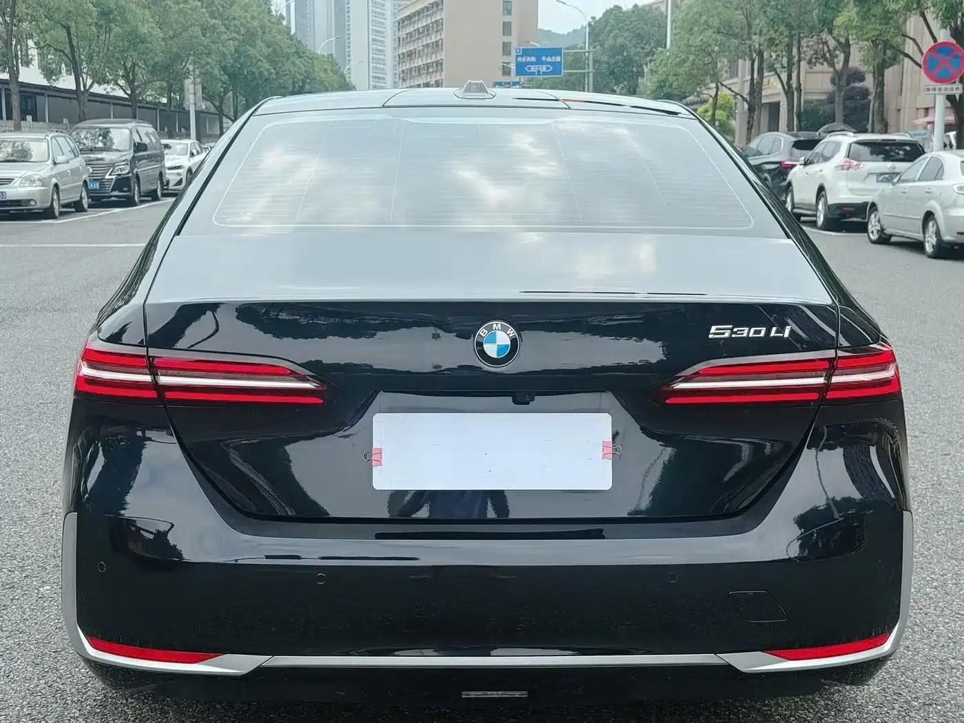 2024 BMW 5 Series 530Li Leading Luxury Package — миниатюра 6
