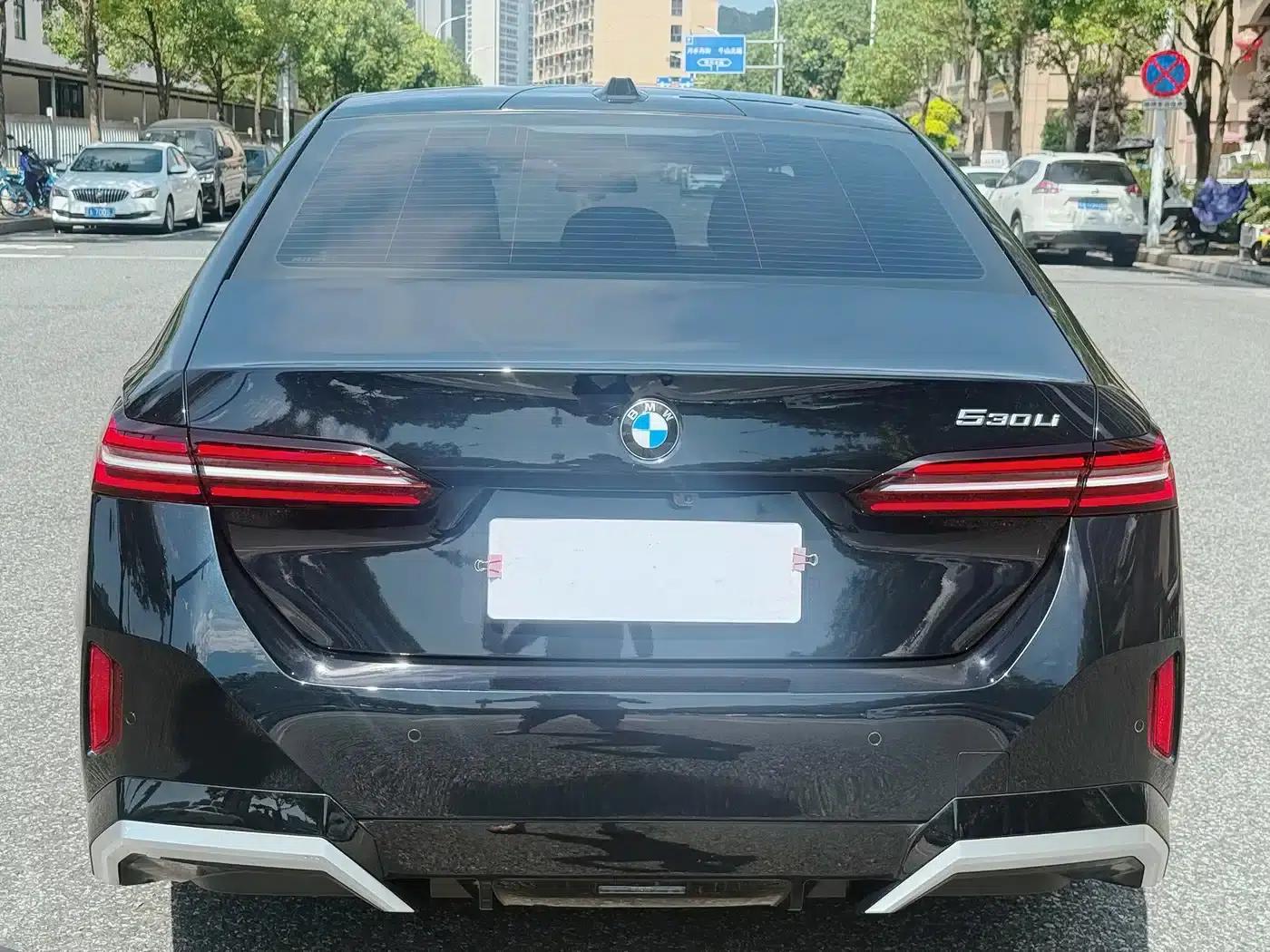 2025 BMW 5 Series 530Li Leading Edition M Sport Package — миниатюра 6