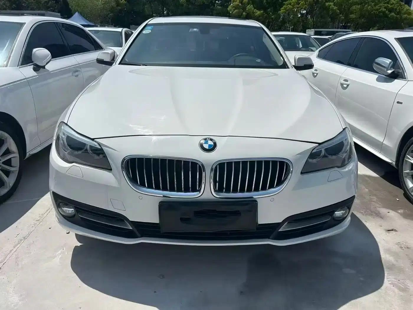 2014 BMW 5 Series 520Li Elegant Edition — миниатюра 1