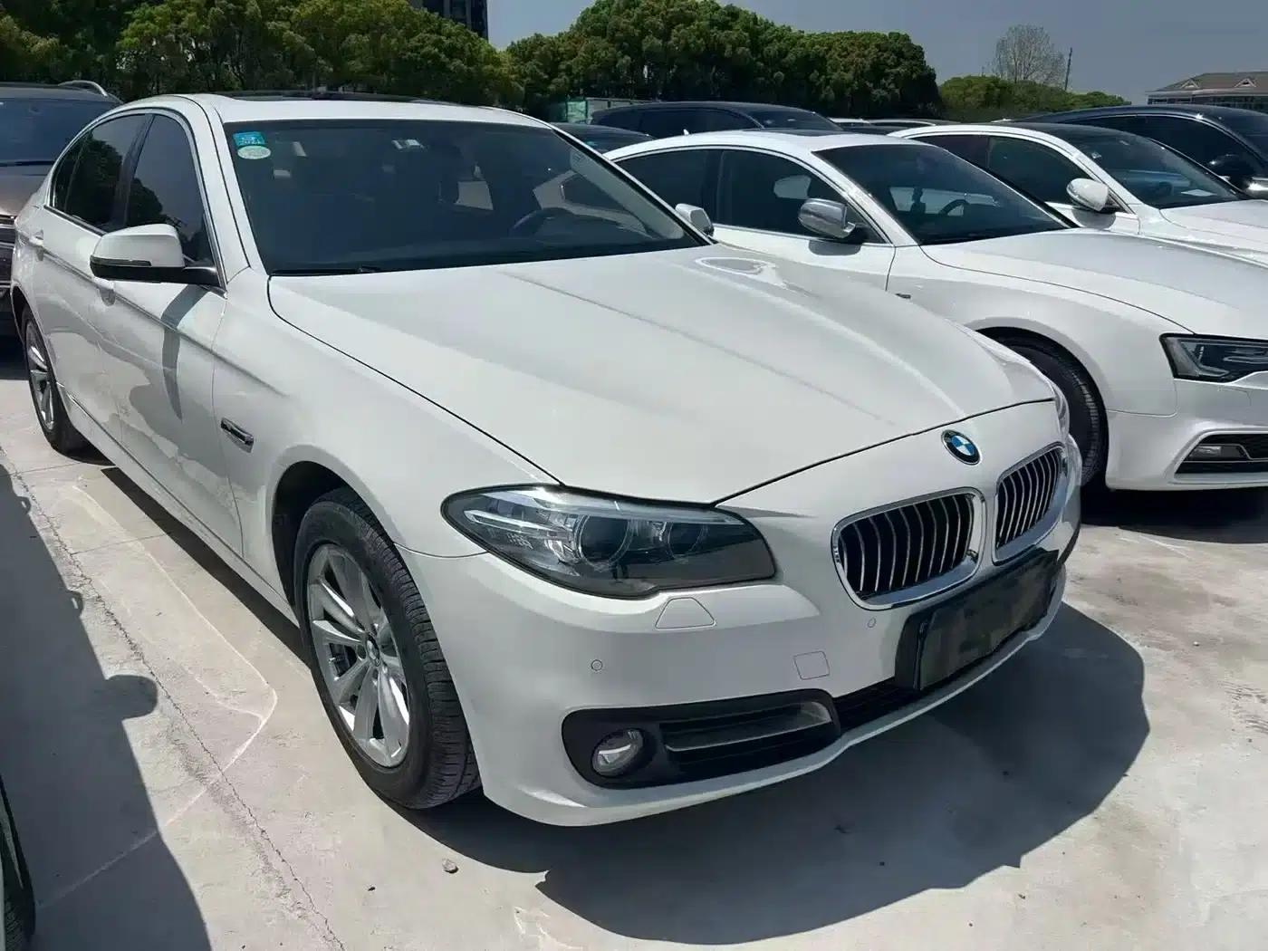 2014 BMW 5 Series 520Li Elegant Edition — миниатюра 2