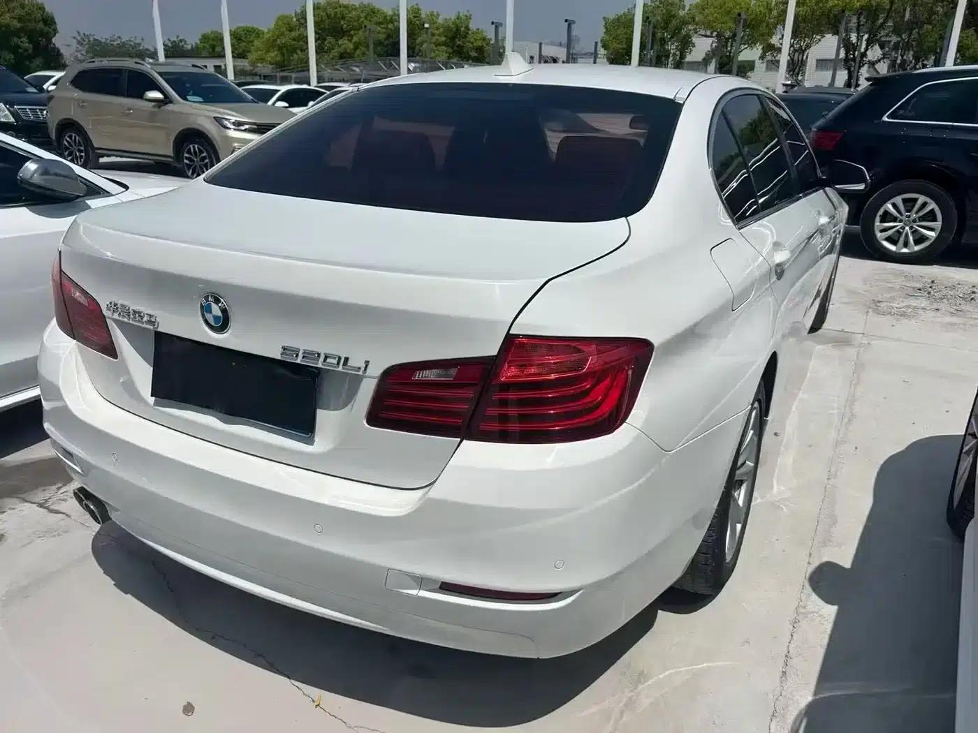 2014 BMW 5 Series 520Li Elegant Edition — миниатюра 6