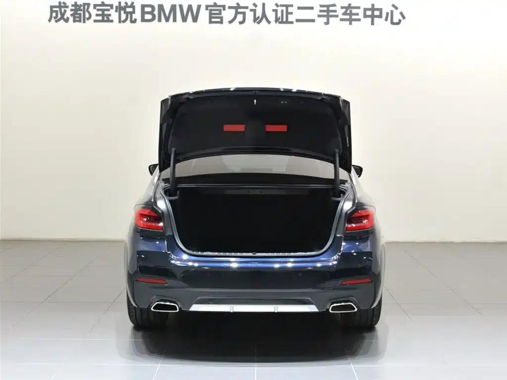BMW 5 Series 2022 Facelift II 530Li Leading Model M Sport Package — миниатюра 6