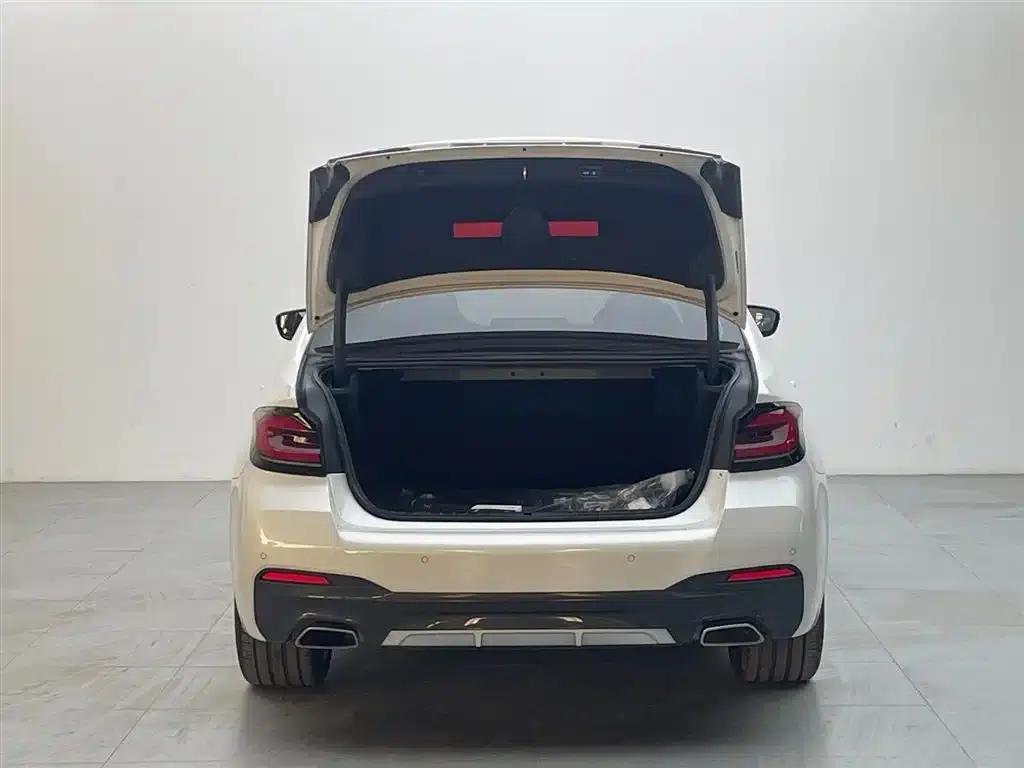 2022 BMW 5 Series Facelift 530Li Luxury M Sport Package — миниатюра 6