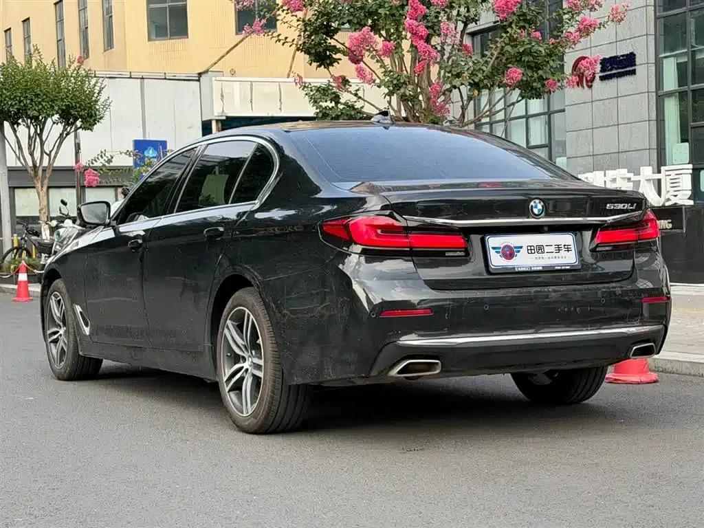 2022 BMW 5 Series 530Li Leading Luxury Package — миниатюра 4