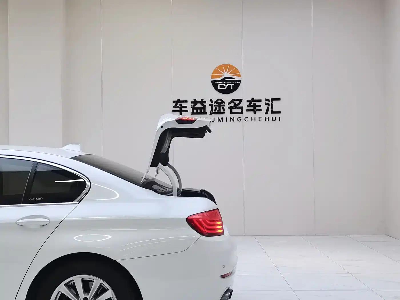 2014 BMW 5 Series 520Li Elegant Edition — миниатюра 11