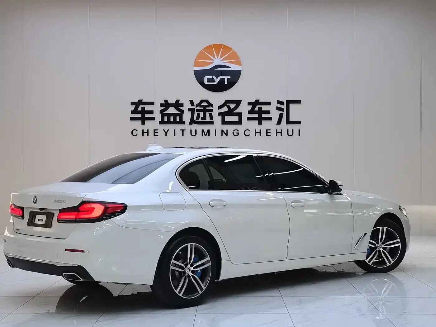 2021 BMW 5 Series 530Li xDrive Luxury Package — миниатюра 6
