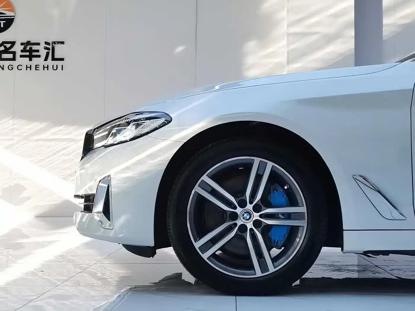 2021 BMW 5 Series 530Li xDrive Luxury Package — миниатюра 9