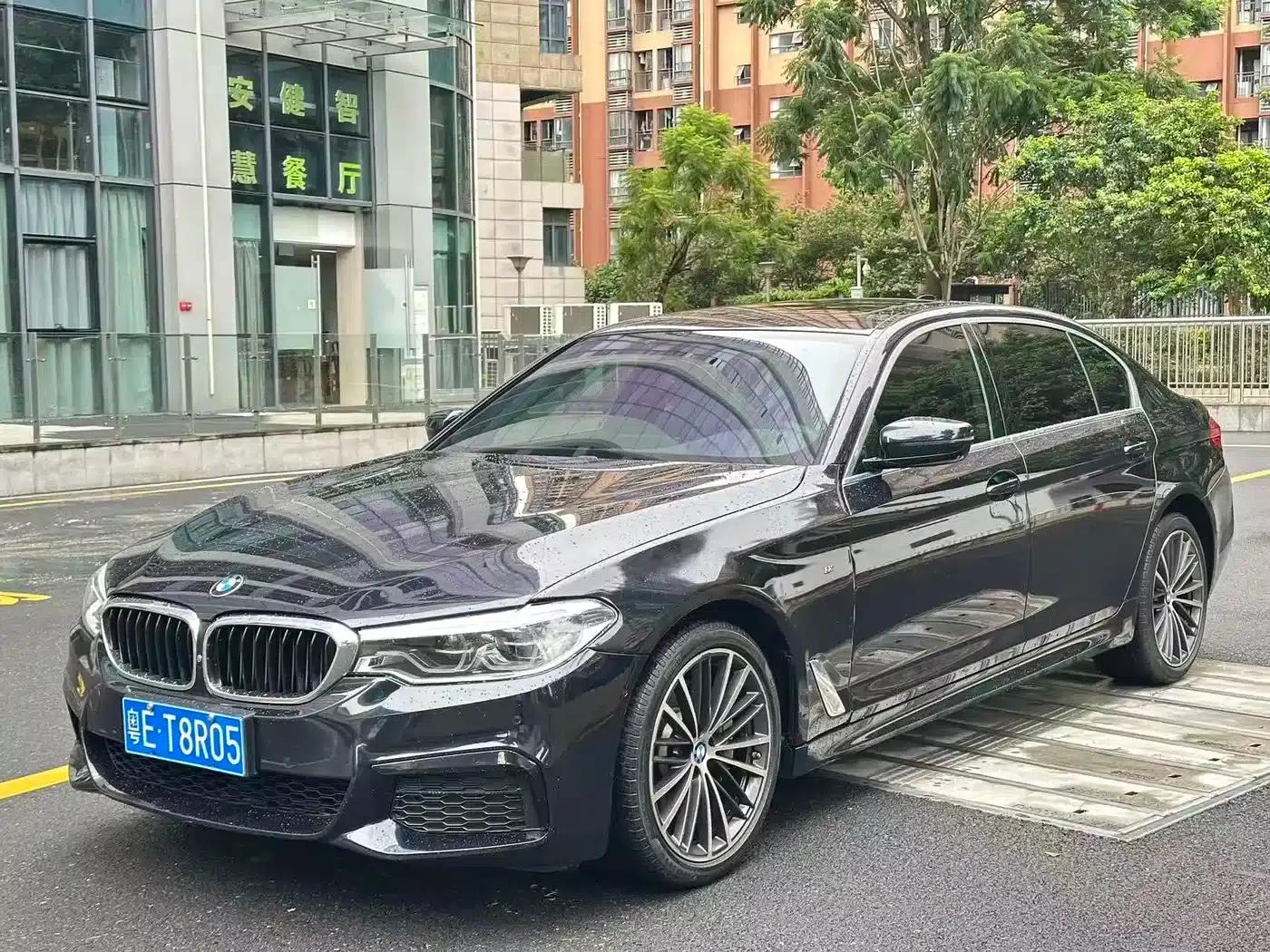 2020 BMW 5 Series 530Li Leading Edition M Sport Package — миниатюра 1