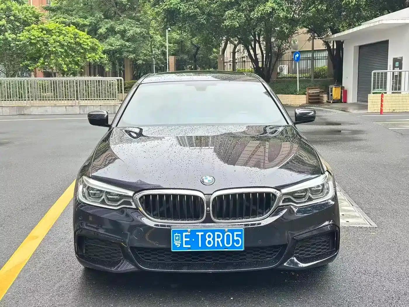 2020 BMW 5 Series 530Li Leading Edition M Sport Package — миниатюра 2