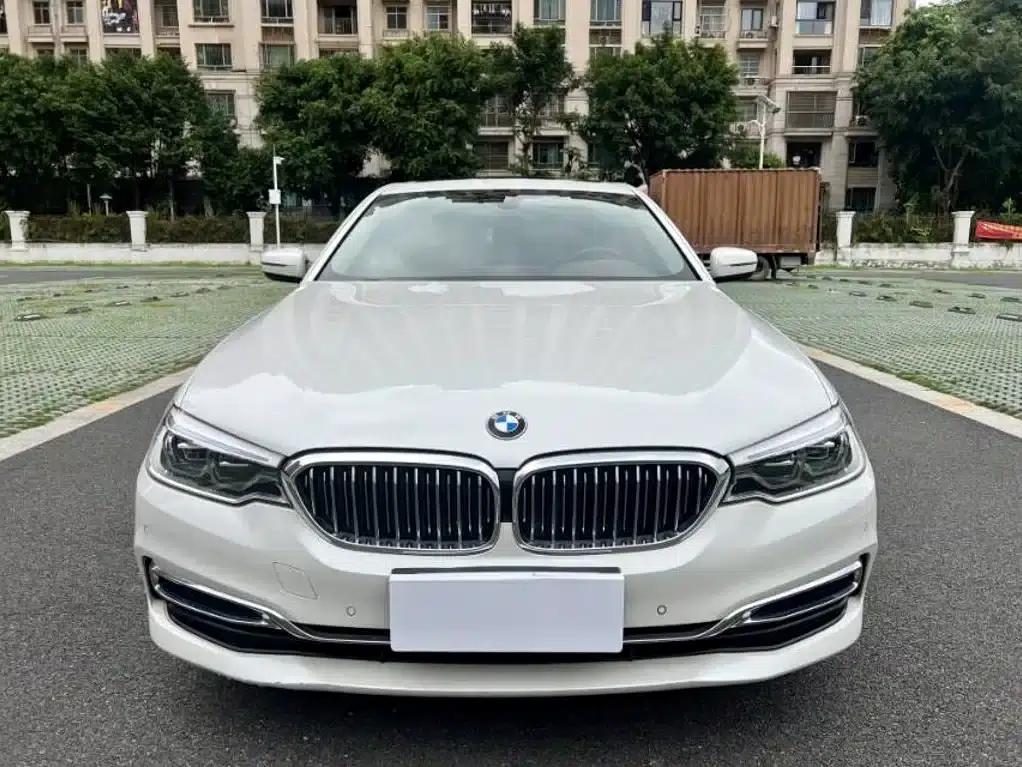 BMW 5 Series 2020 530Li Leading Luxury Package — миниатюра 2