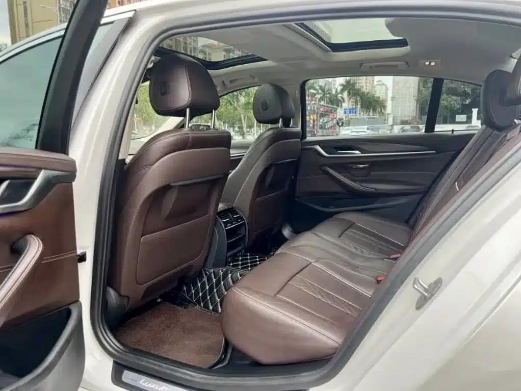 BMW 5 Series 2020 530Li Leading Luxury Package — миниатюра 6