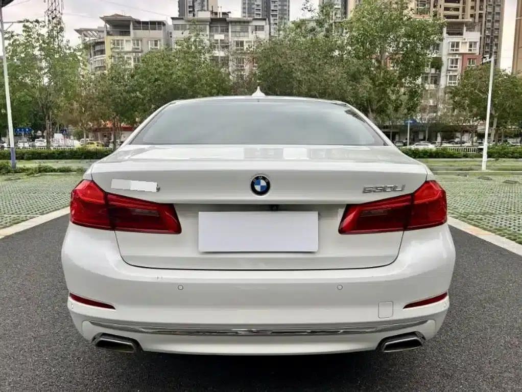 BMW 5 Series 2020 530Li Leading Luxury Package — миниатюра 8