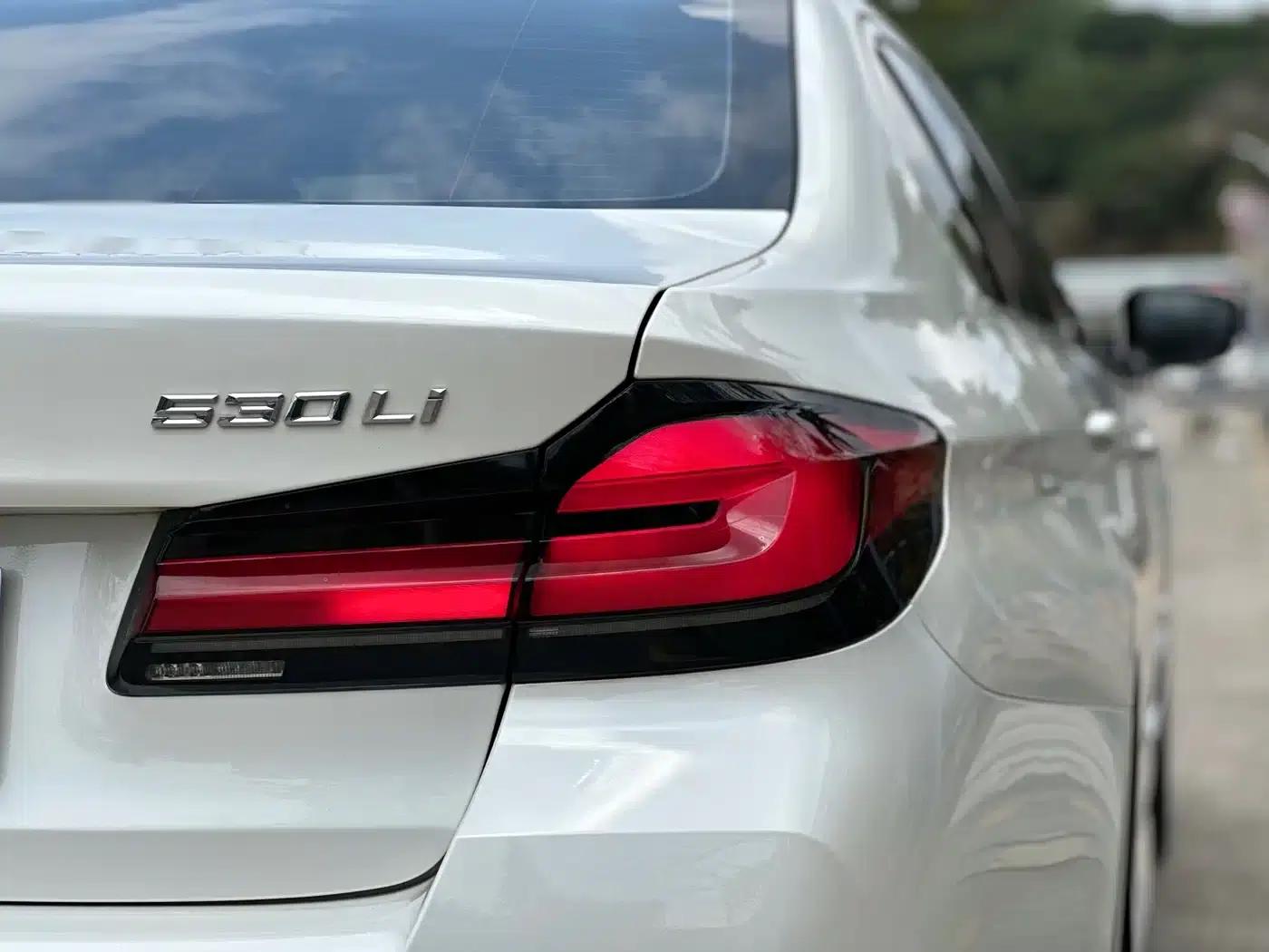 2021 BMW 5 Series 530Li Luxury M Sport Package — миниатюра 20