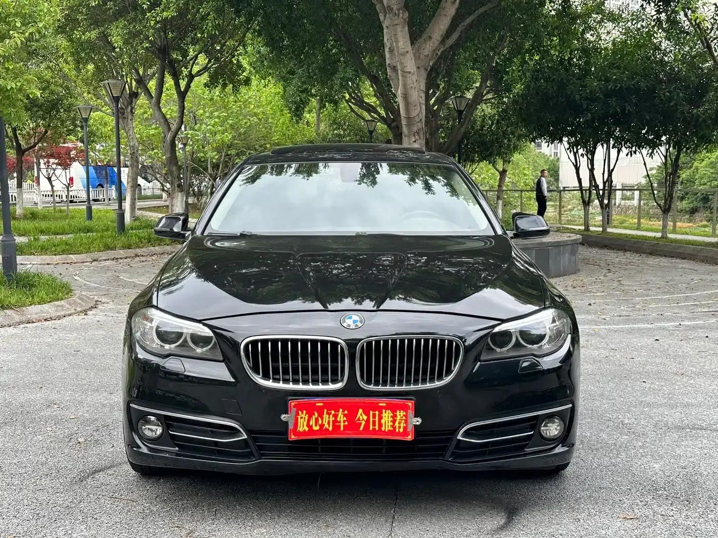 2017 BMW 5 Series 525Li Luxury Design Package — миниатюра 2