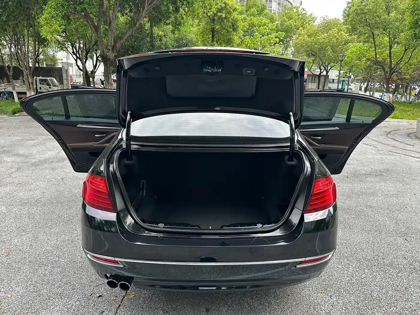 2017 BMW 5 Series 525Li Luxury Design Package — миниатюра 11