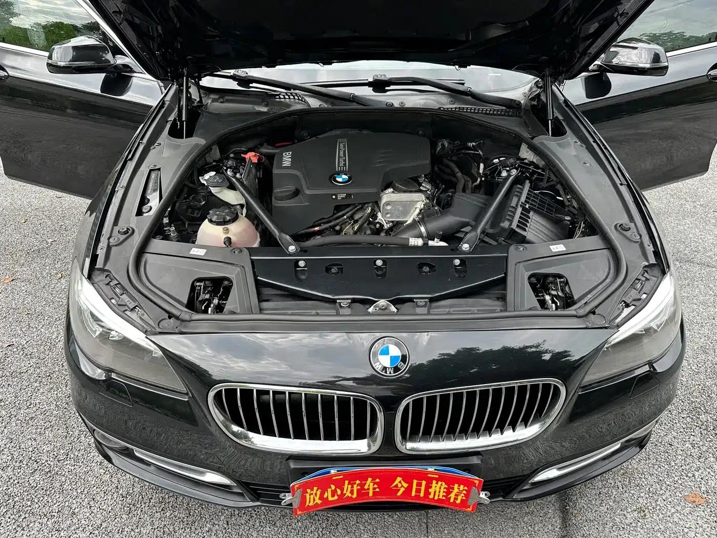 2017 BMW 5 Series 525Li Luxury Design Package — миниатюра 18
