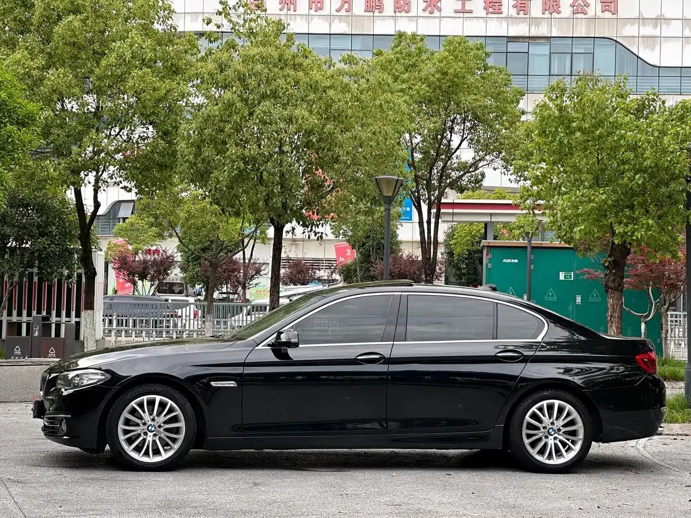 2017 BMW 5 Series 525Li Luxury Design Package — миниатюра 4