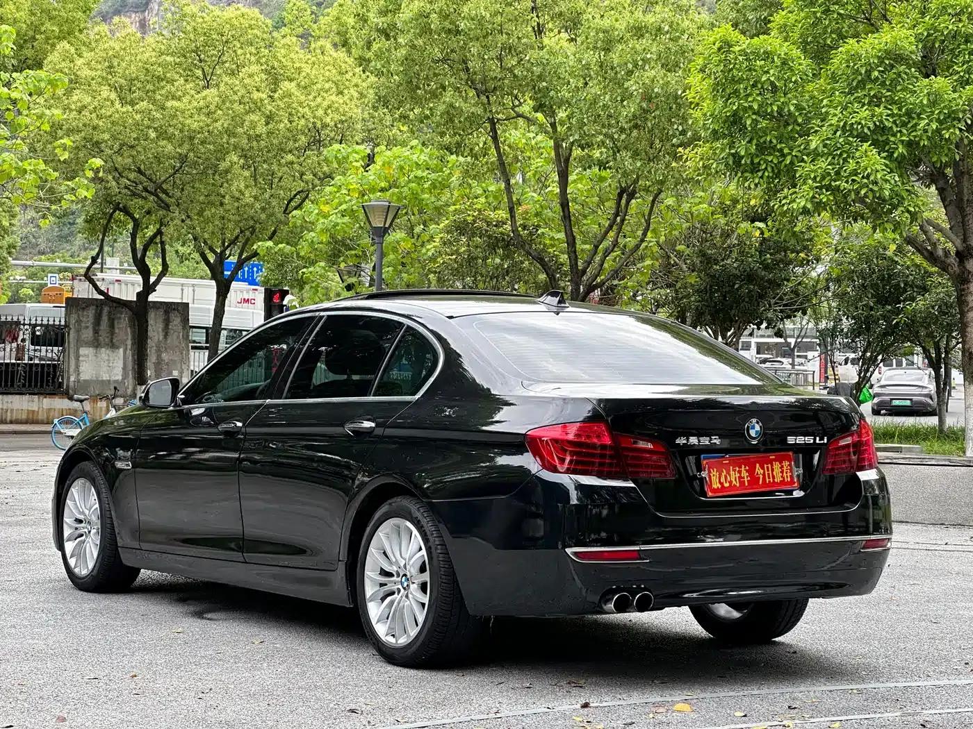 2017 BMW 5 Series 525Li Luxury Design Package — миниатюра 5