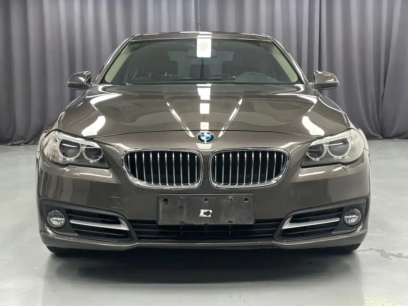 2014 BMW 5 Series 525Li Leading Edition — миниатюра 5