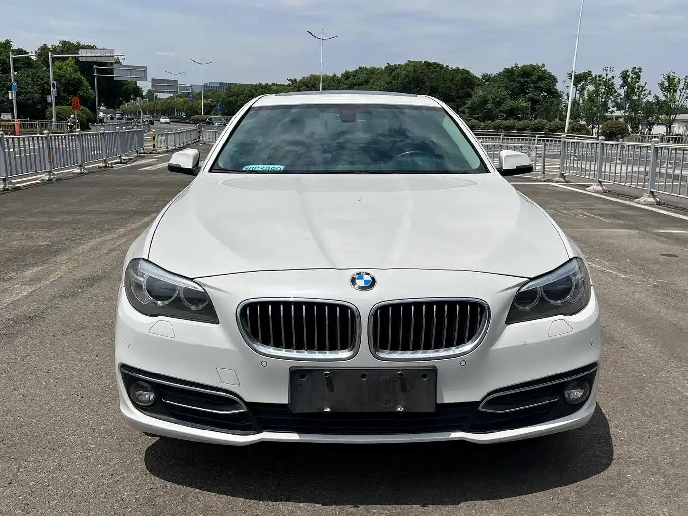 2014 BMW 5 Series 525Li Luxury Design Package — миниатюра 2