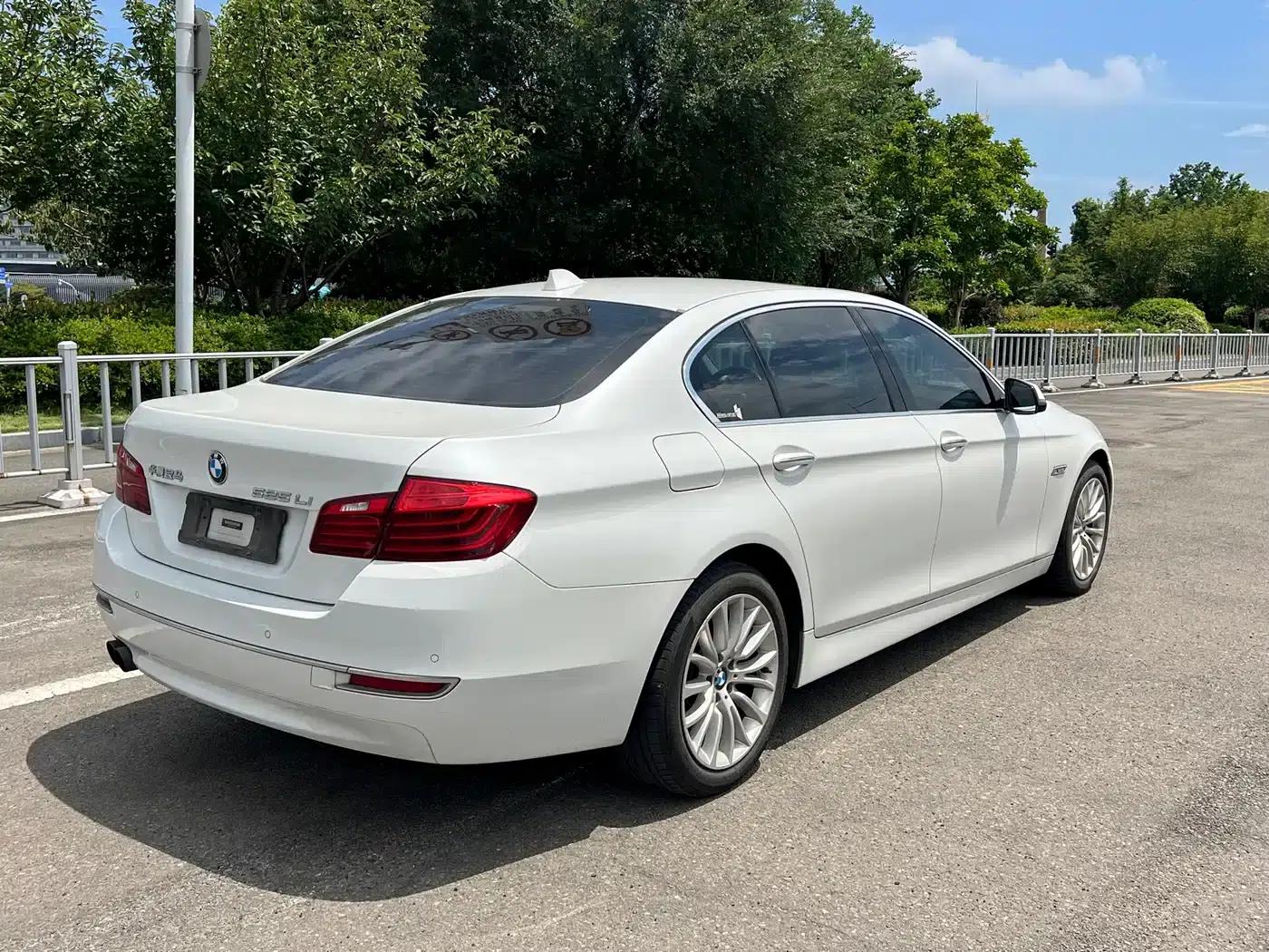 2014 BMW 5 Series 525Li Luxury Design Package — миниатюра 14
