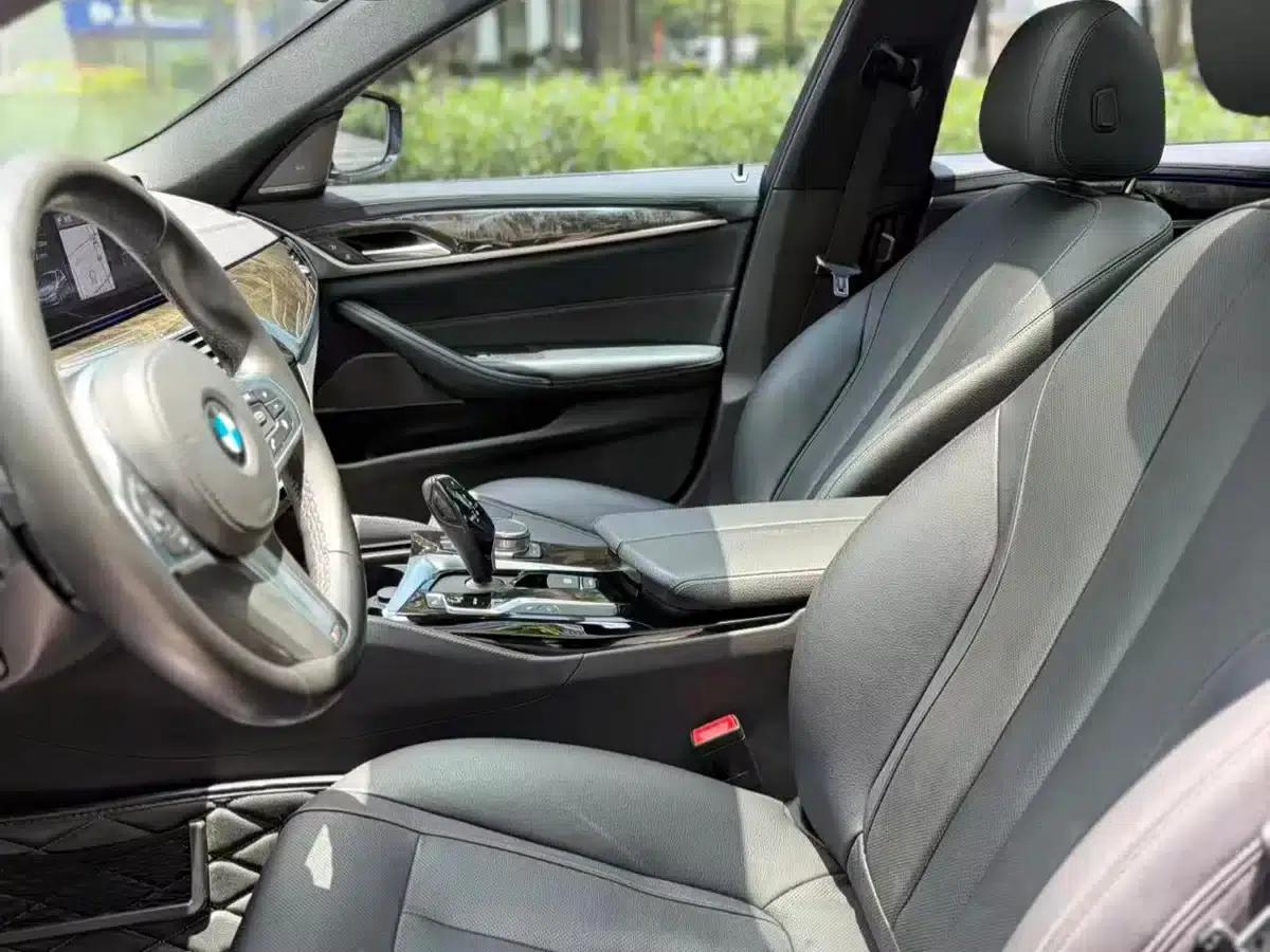 2019 BMW 5 Series 530Li Luxury M Sport Package — миниатюра 5
