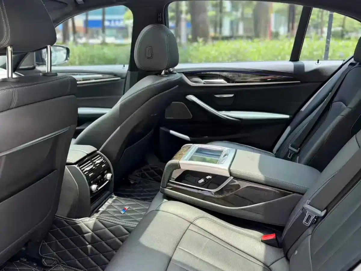 2019 BMW 5 Series 530Li Luxury M Sport Package — миниатюра 6