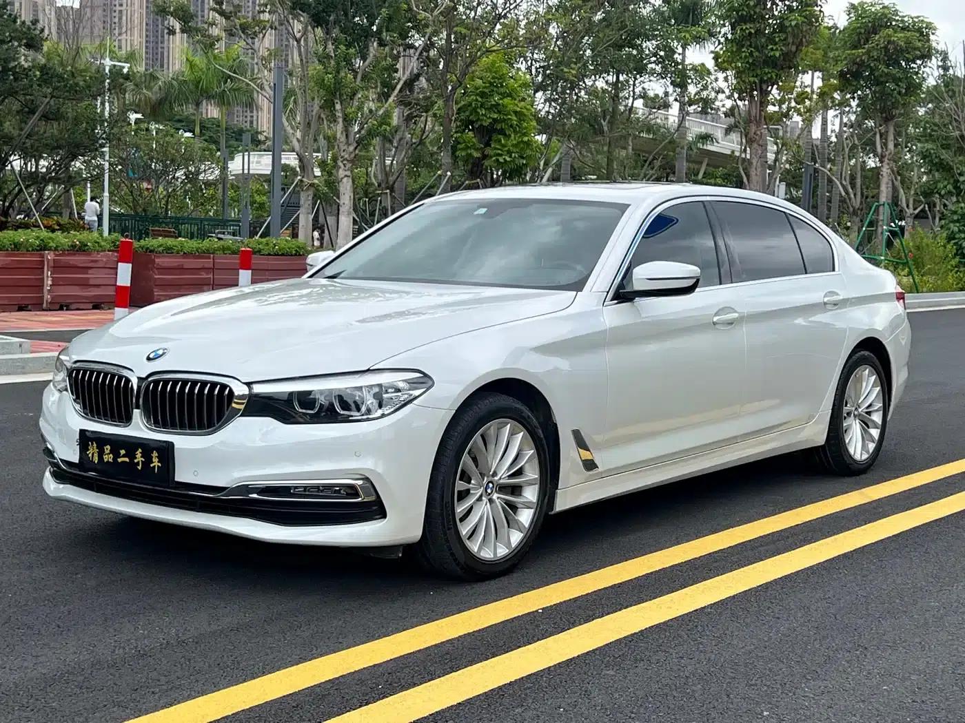 2019 BMW 5 Series 525Li Luxury Package — миниатюра 1