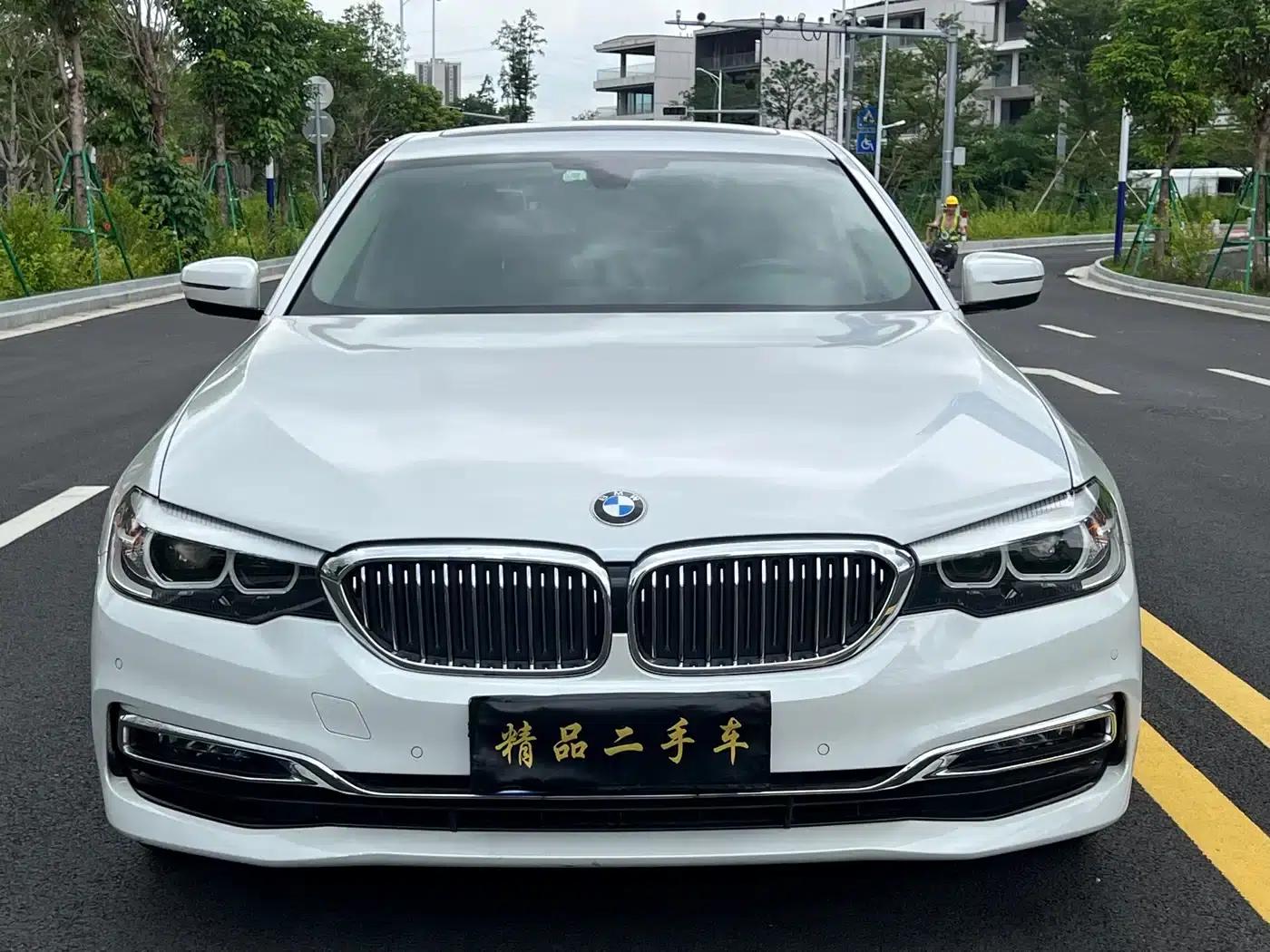 2019 BMW 5 Series 525Li Luxury Package — миниатюра 2