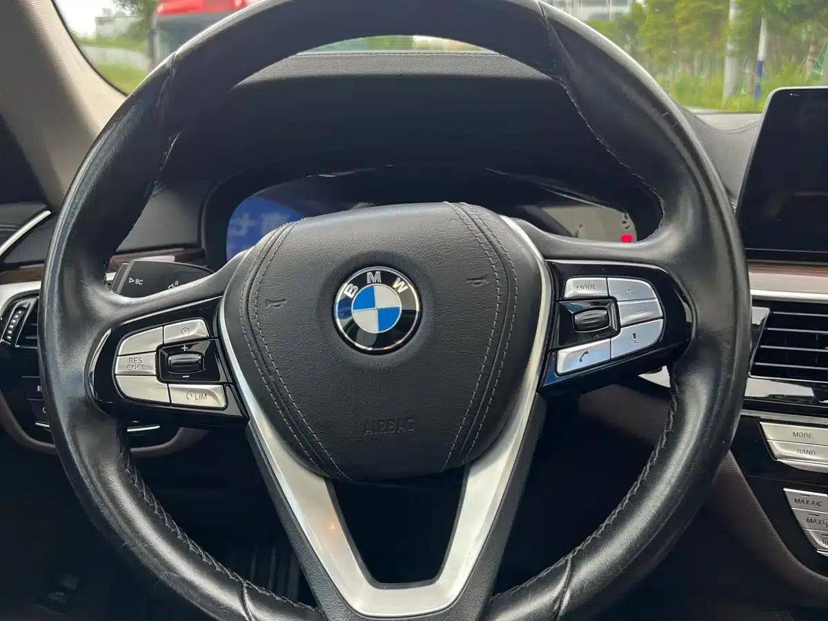 2019 BMW 5 Series 525Li Luxury Package — миниатюра 15
