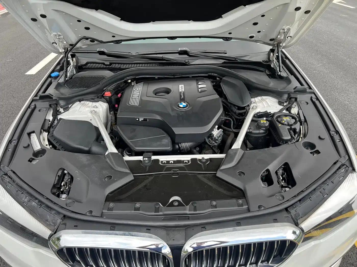 2019 BMW 5 Series 525Li Luxury Package — миниатюра 18