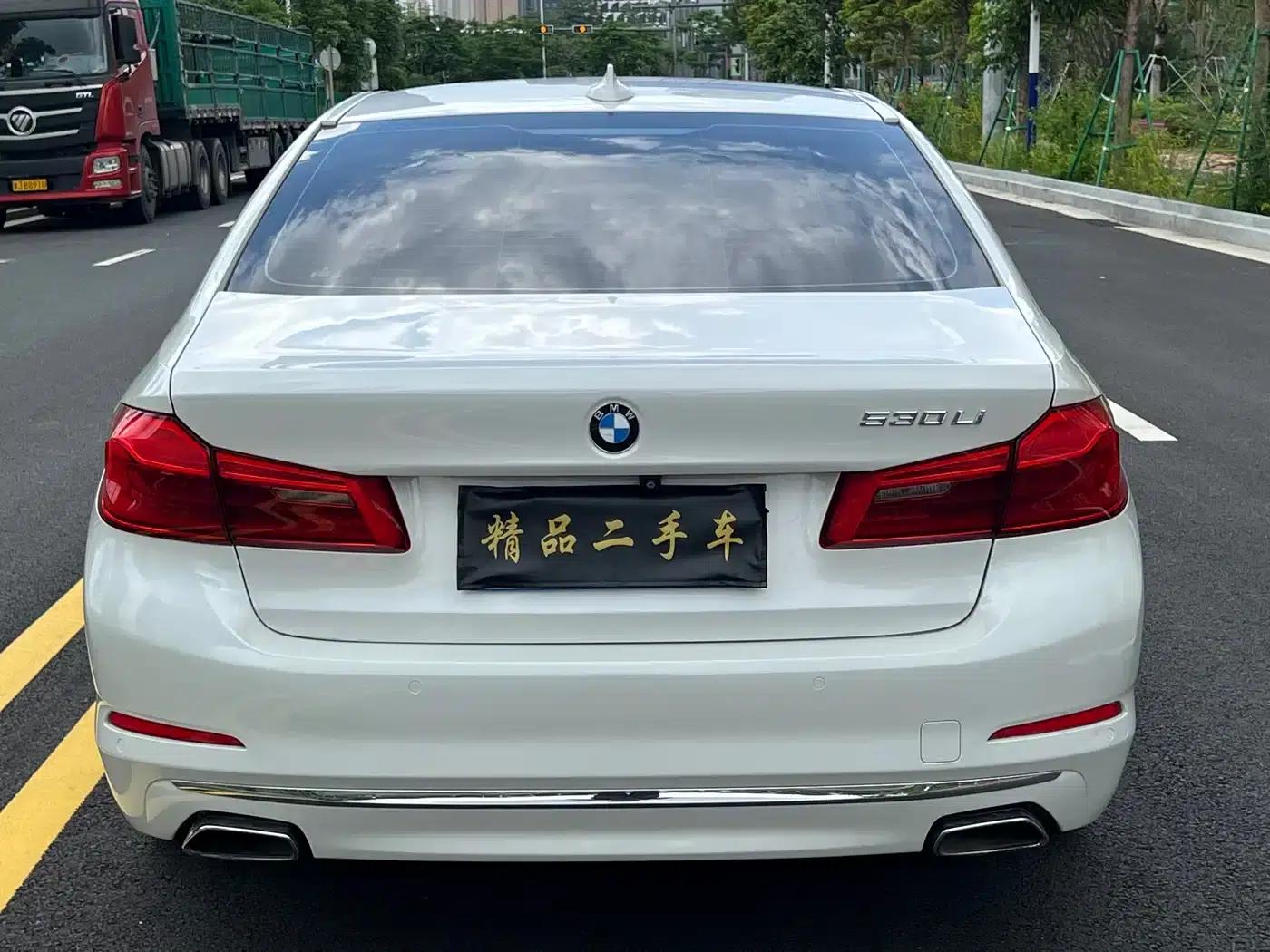 2019 BMW 5 Series 525Li Luxury Package — миниатюра 5