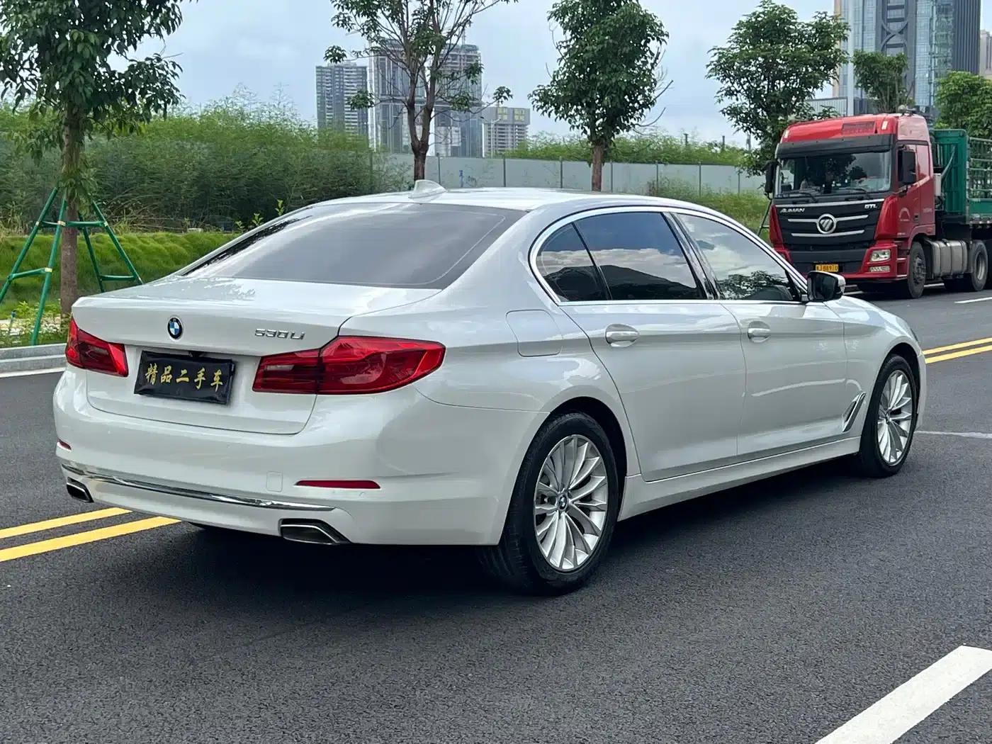 2019 BMW 5 Series 525Li Luxury Package — миниатюра 6