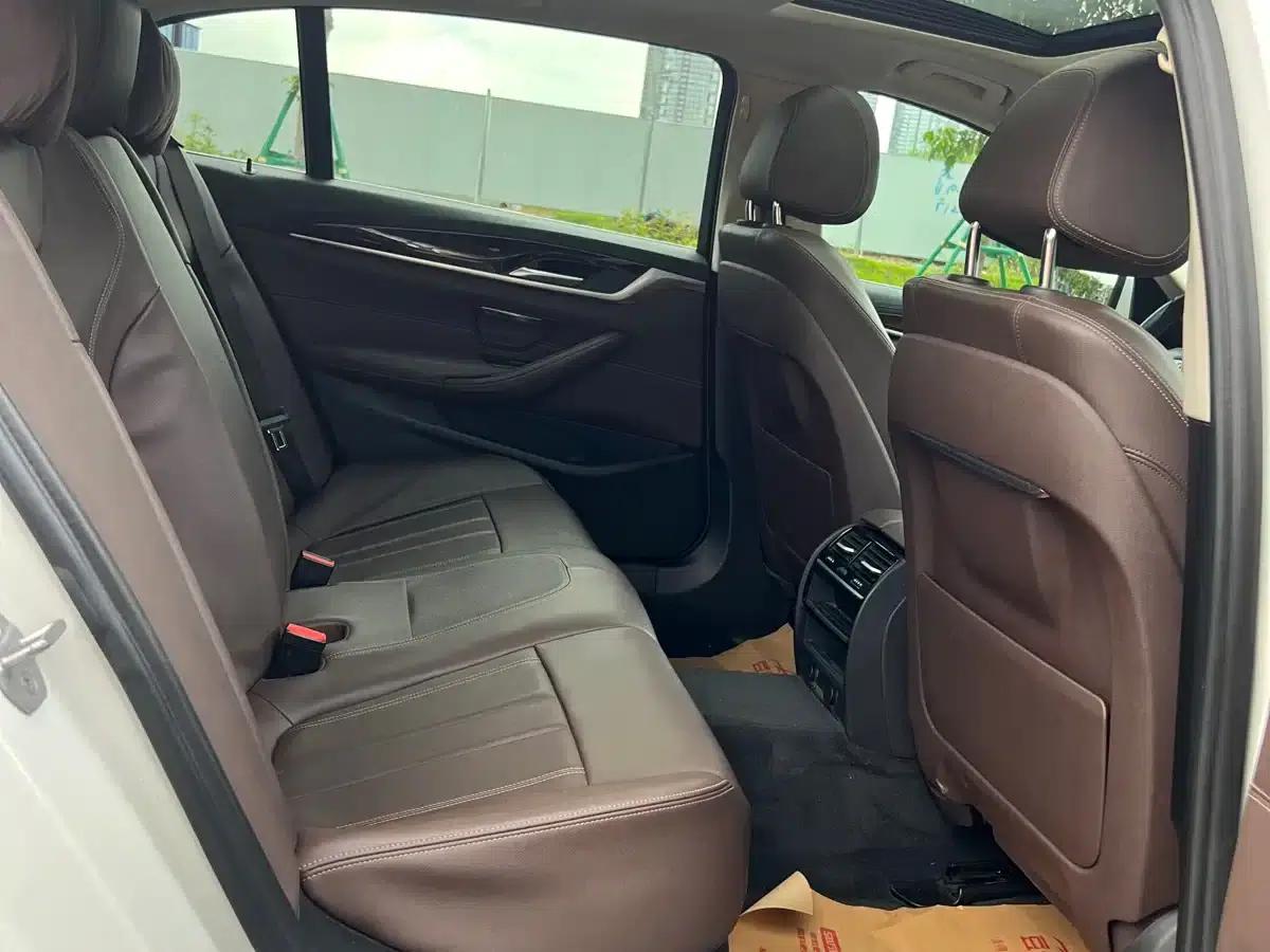 2019 BMW 5 Series 525Li Luxury Package — миниатюра 10