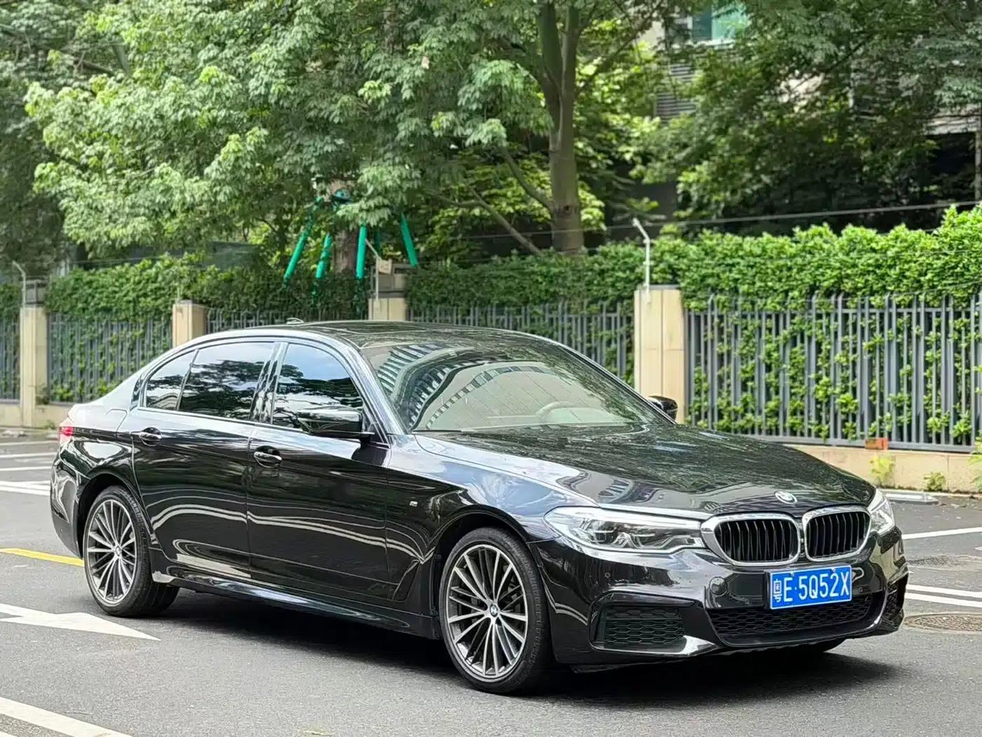2019 BMW 5 Series 530Li Luxury M Sport Package — миниатюра 2