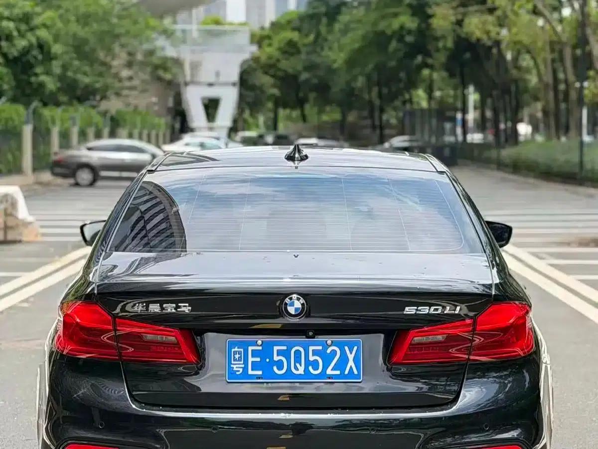 2019 BMW 5 Series 530Li Luxury M Sport Package — миниатюра 3