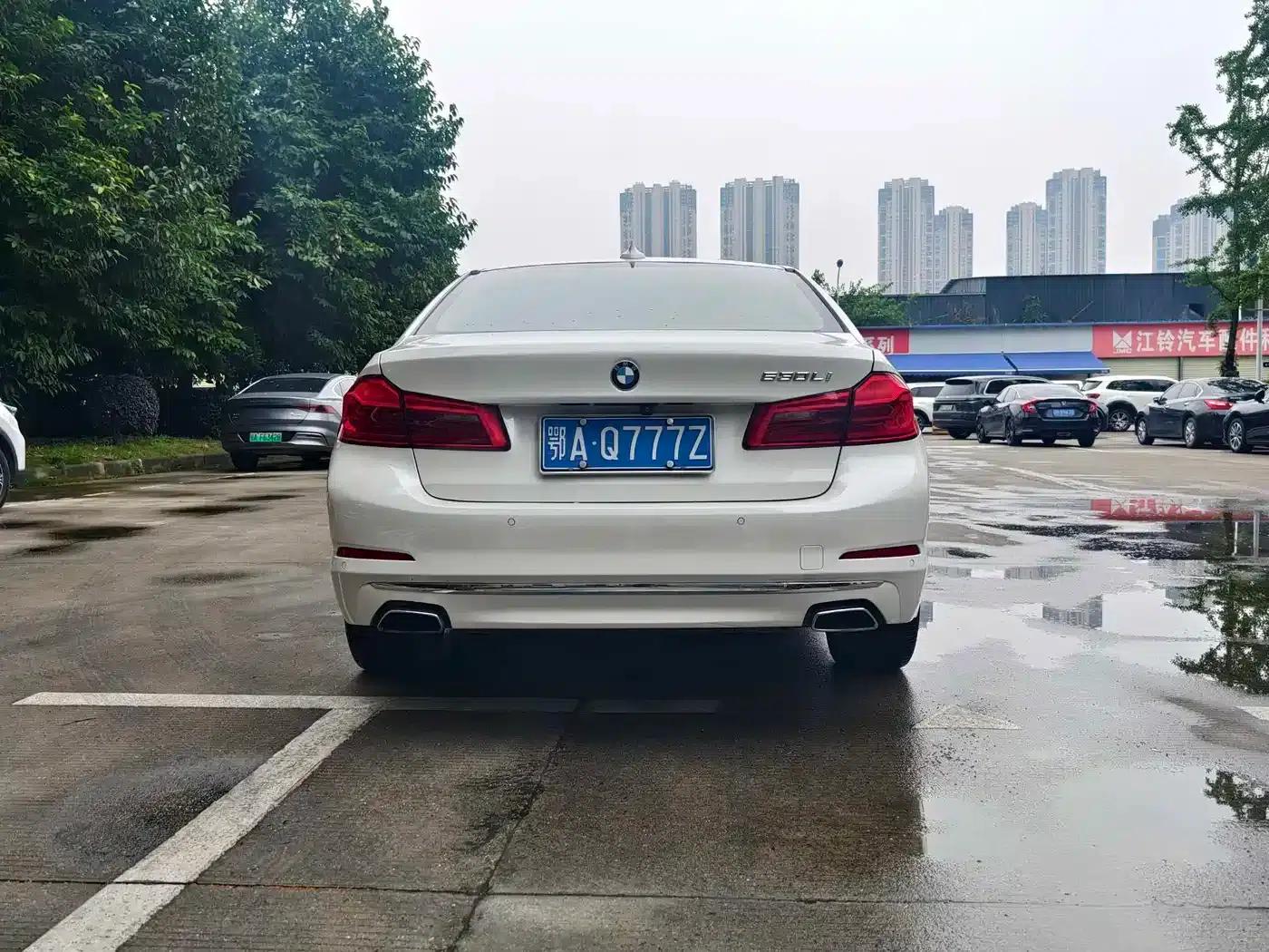 BMW 5 Series 2019 530Li Leading Luxury Package — миниатюра 8