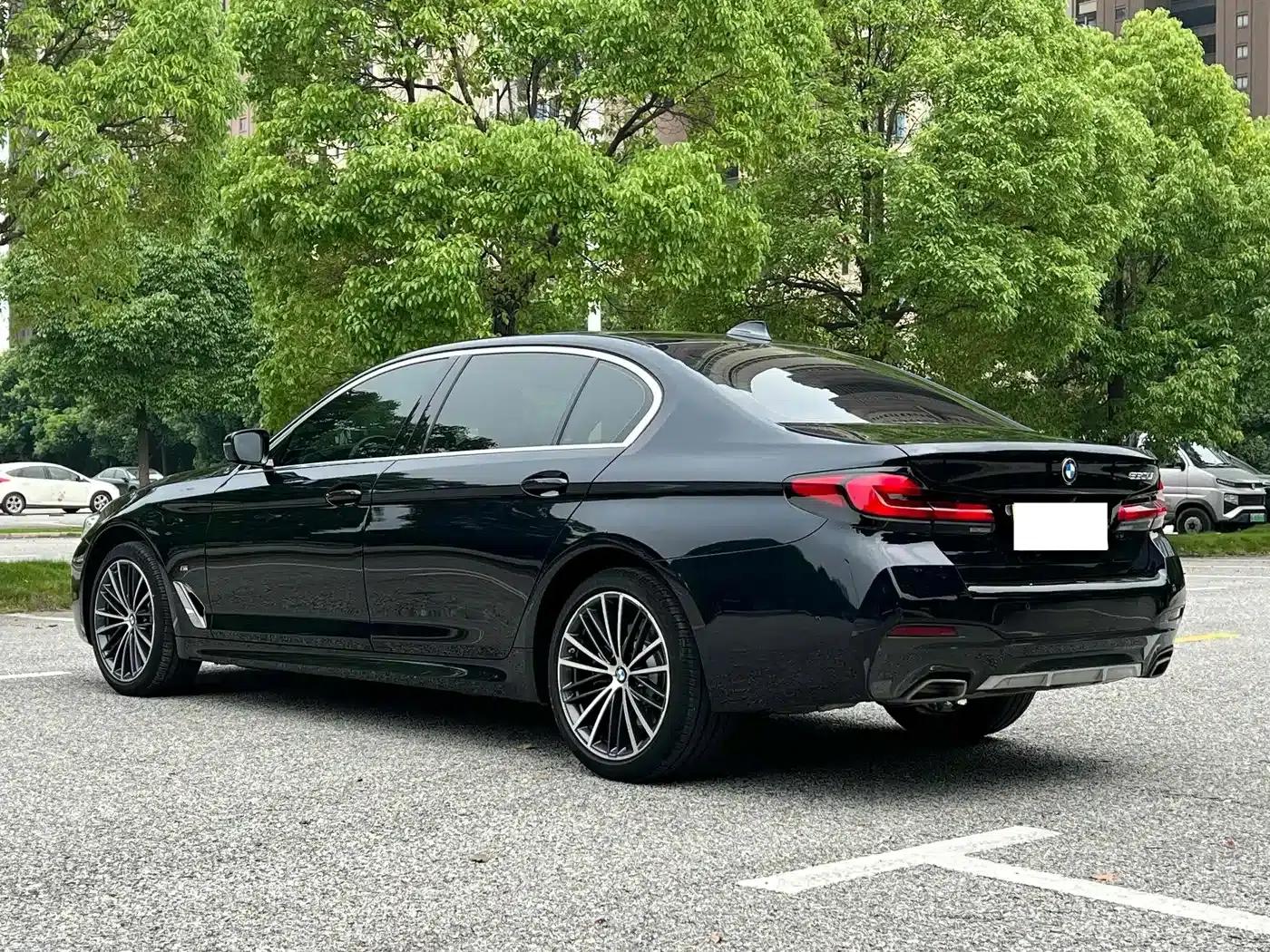 2023 BMW 5 Series 530Li Leading Edition M Sport Package — миниатюра 16