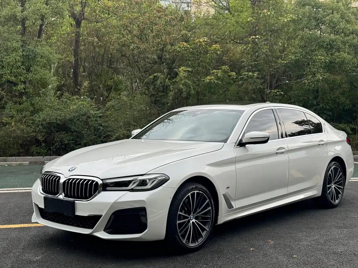 2021 BMW 5 Series 530Li Leading Edition M Sport Package — миниатюра 1