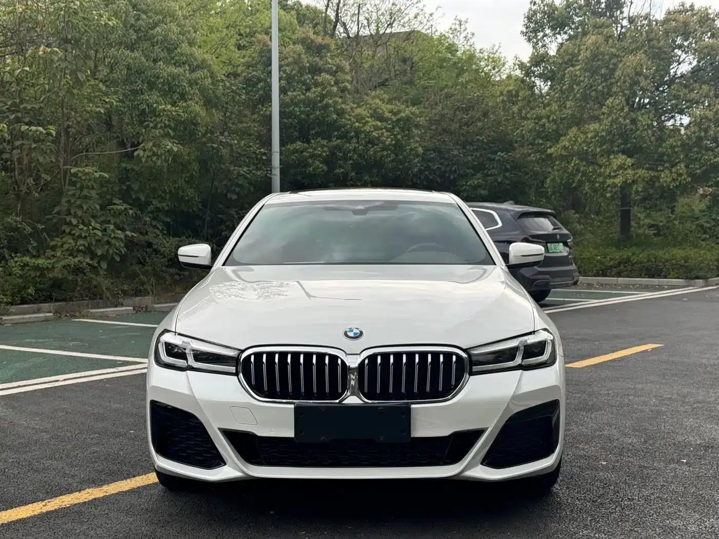 2021 BMW 5 Series 530Li Leading Edition M Sport Package — миниатюра 2