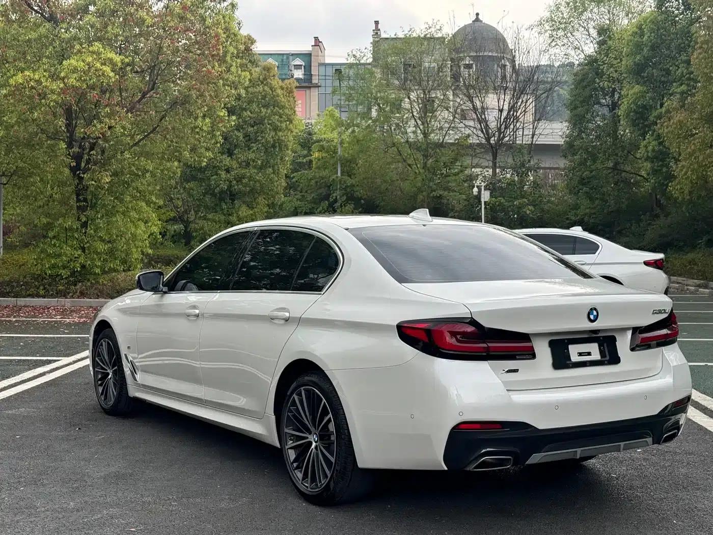 2021 BMW 5 Series 530Li Leading Edition M Sport Package — миниатюра 6