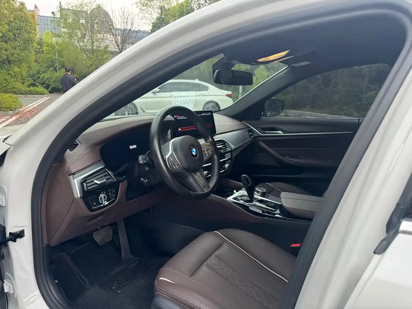 2021 BMW 5 Series 530Li Leading Edition M Sport Package — миниатюра 7
