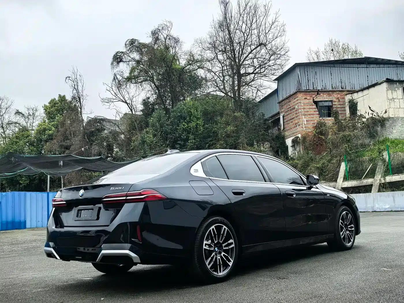 2025 BMW 5 Series 530Li Leading Edition M Sport Package — миниатюра 9