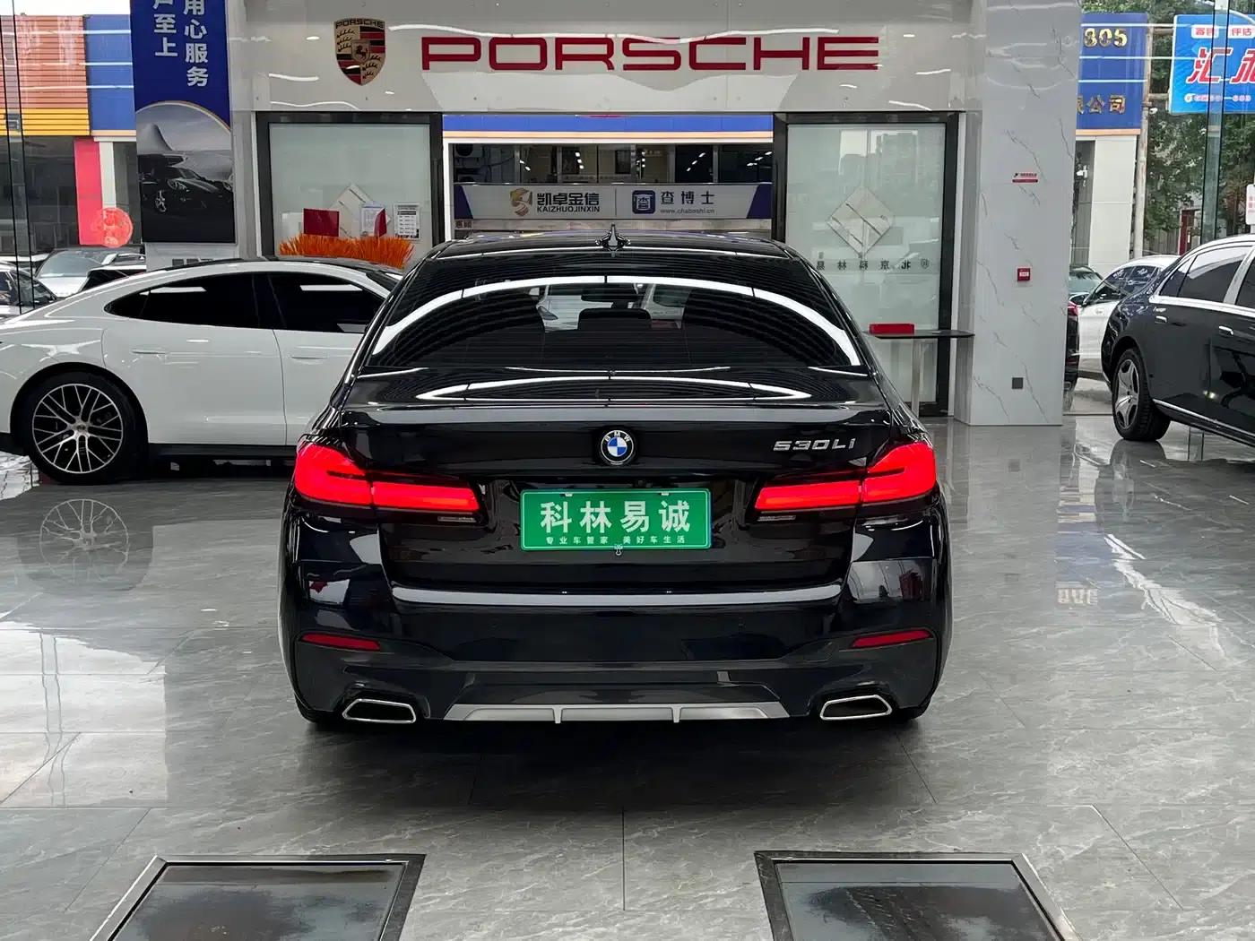 2022 BMW 5 Series 530Li Luxury M Sport Package — миниатюра 5