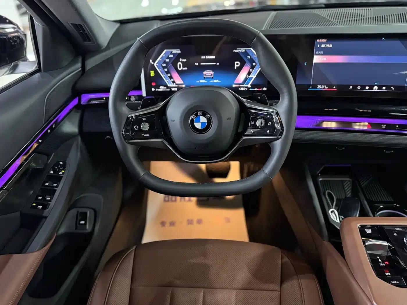 2025 BMW 5 Series 525Li Luxury Package — миниатюра 10